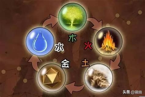 金木水火土 人|人身五行